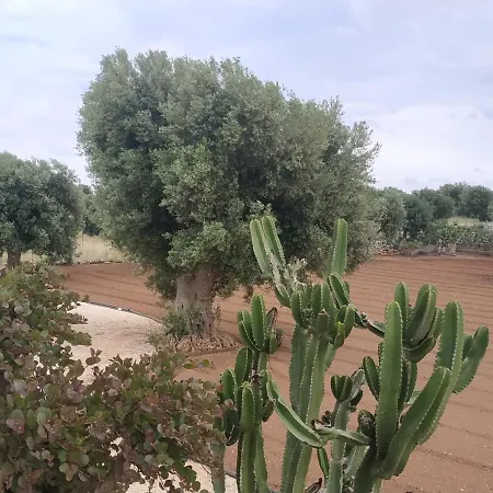 Masseria Auina *